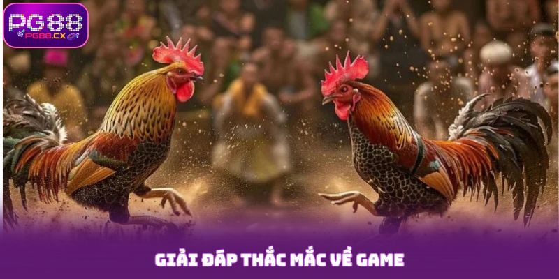 Giải đáp thắc mắc về game đá gà campuchia PG88
